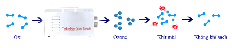 Nguyên lí hoạt động của công nghệ ozone