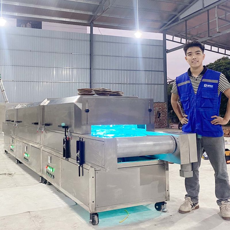 Hệ băng chuyền khử trùng UV RAMA UV-6M - Ảnh 6