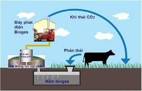 2. Cơ chế khoa học của công nghệ ozone trong xử lý khí thải mùi hôi