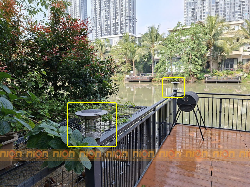bắt muỗi sân vườn