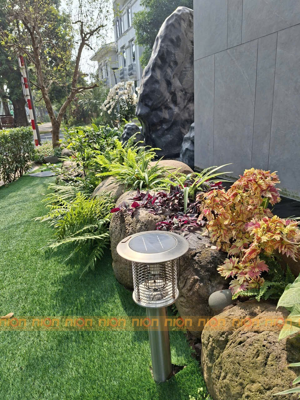 bắt muỗi sân vườn