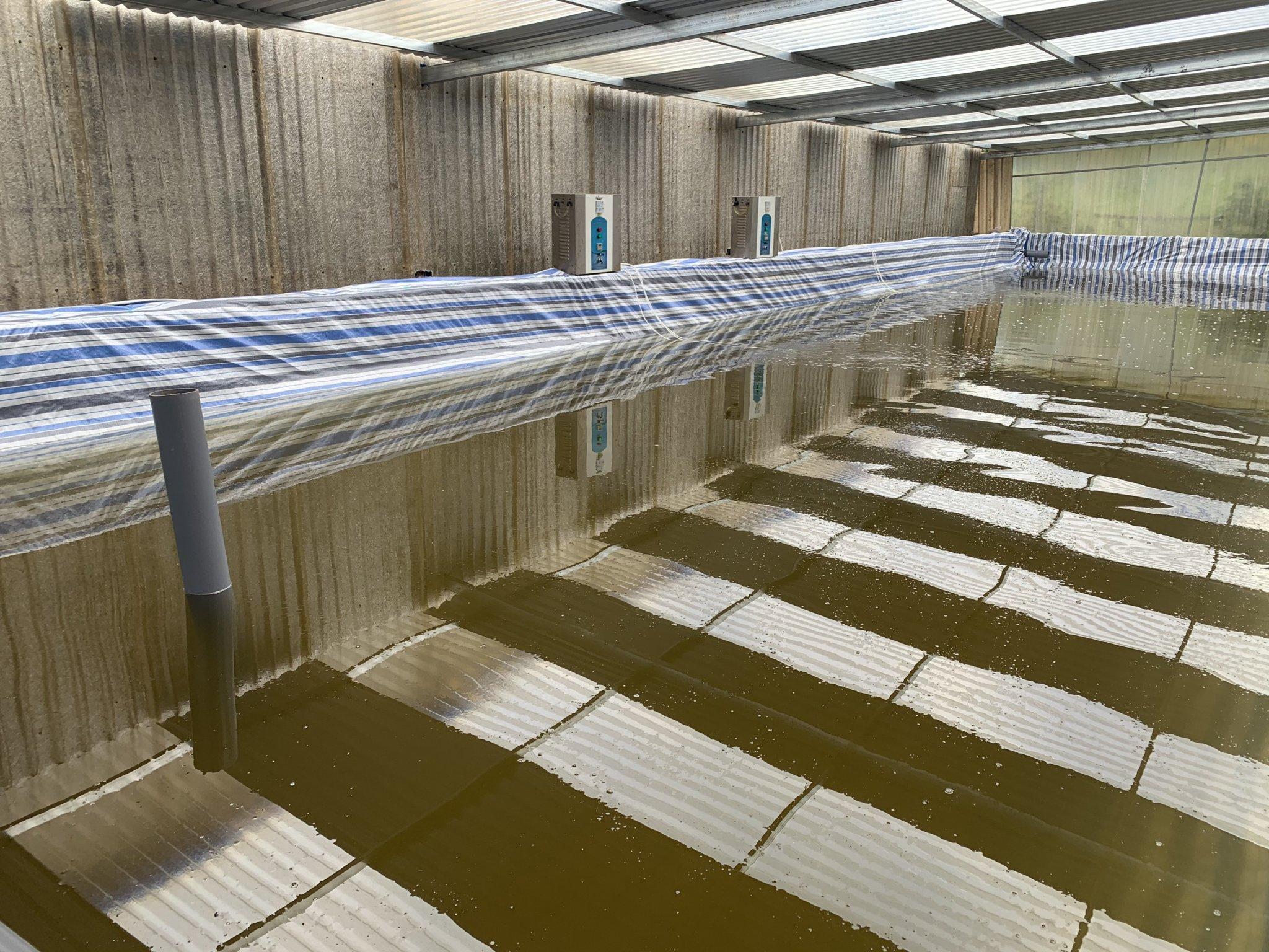 3. Ưu điểm vượt trội của máy ozone công nghiệp Nion trong xử lý nước thải