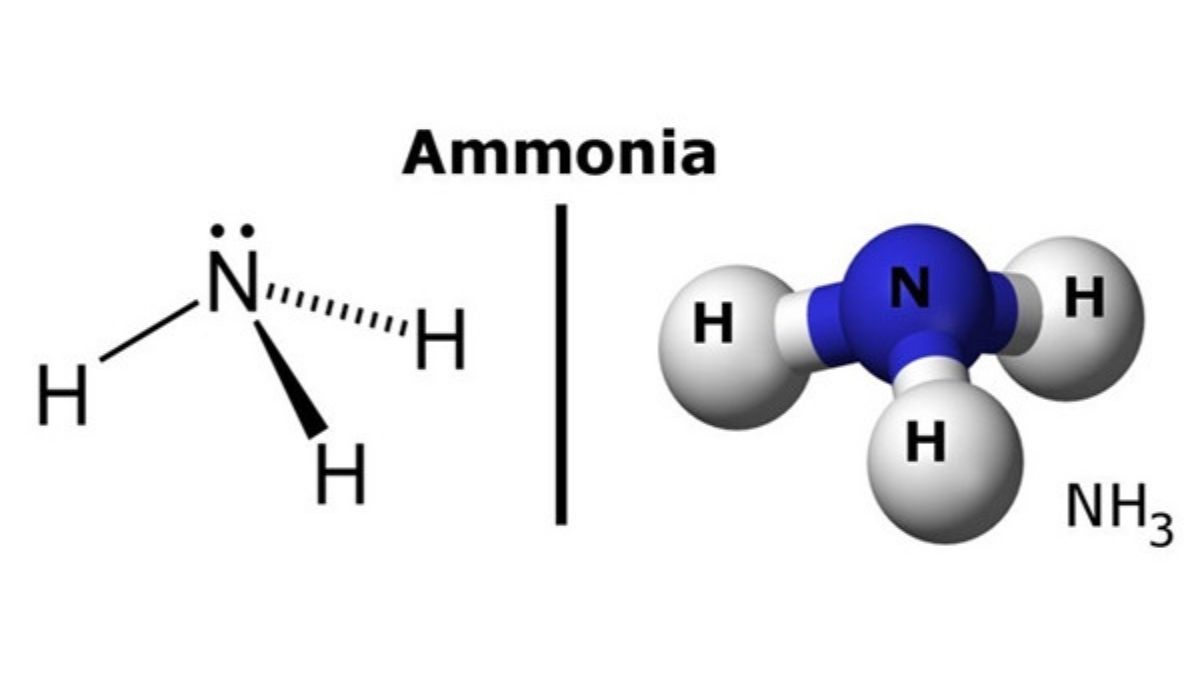 NH3 (amoniac) là gì?