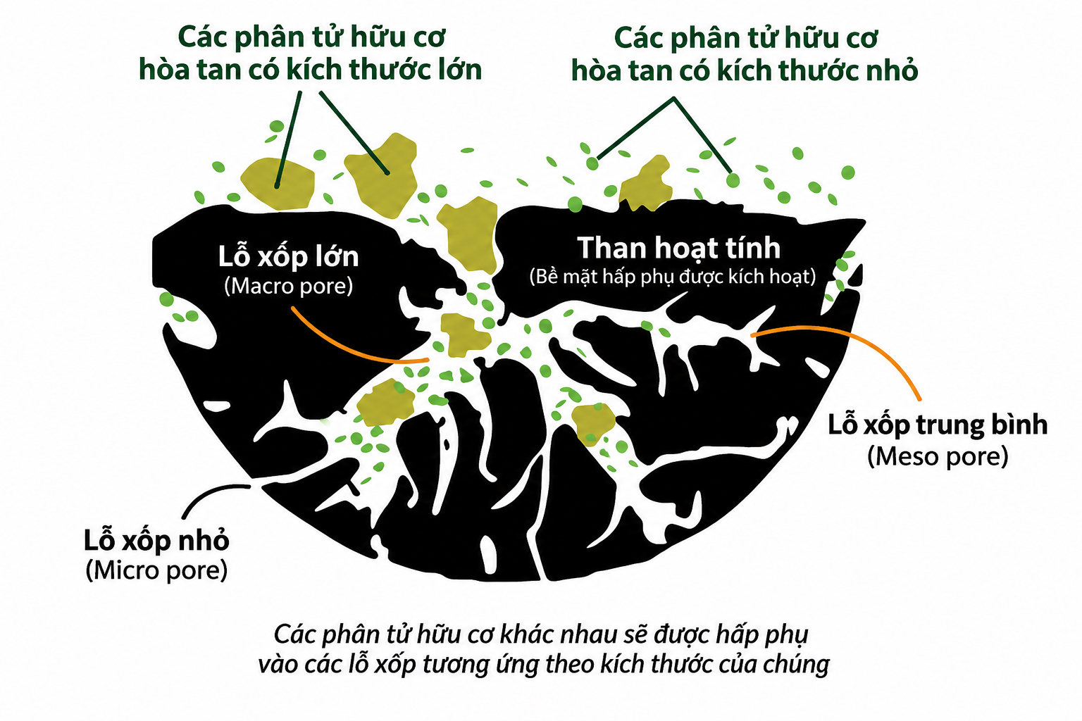 Cấu trúc lỗ xốp giúp than hoạt tính hấp hỗ trợ quá trình xử lý khí thải xưởng sơn đạt hiệu quả cao hơn