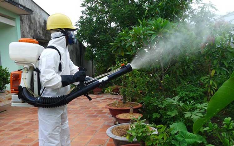 Hóa chất phun muỗi có thể tồn lưu trên cây cối và bề mặt